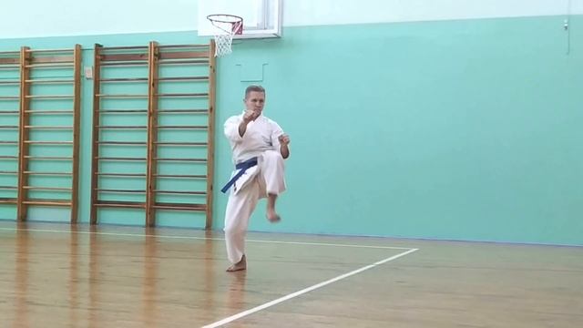 КАТА ХЭЙАН ЁНДАН | KATA HEIAN YONDAN | 型 平安 4