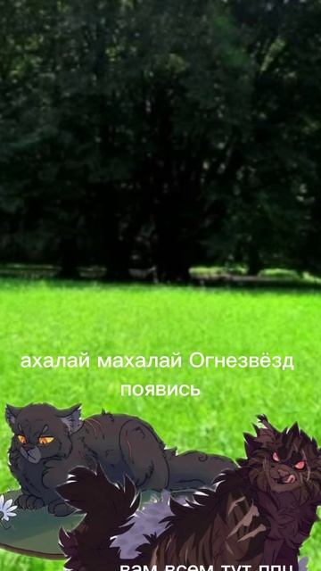 чо я сделала хахахахахах