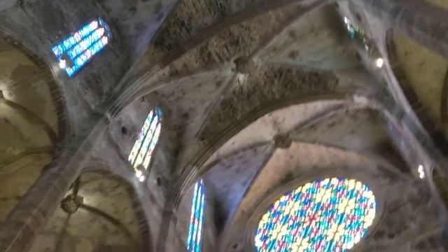 Spain Top Places to See - Palma Cathedral - HD