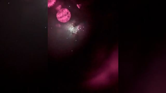 Did you know this about Orion?