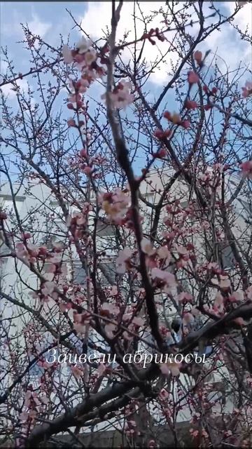 Весна в Белгороде