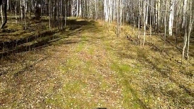 Туристы, любители экзотического волейбола в
