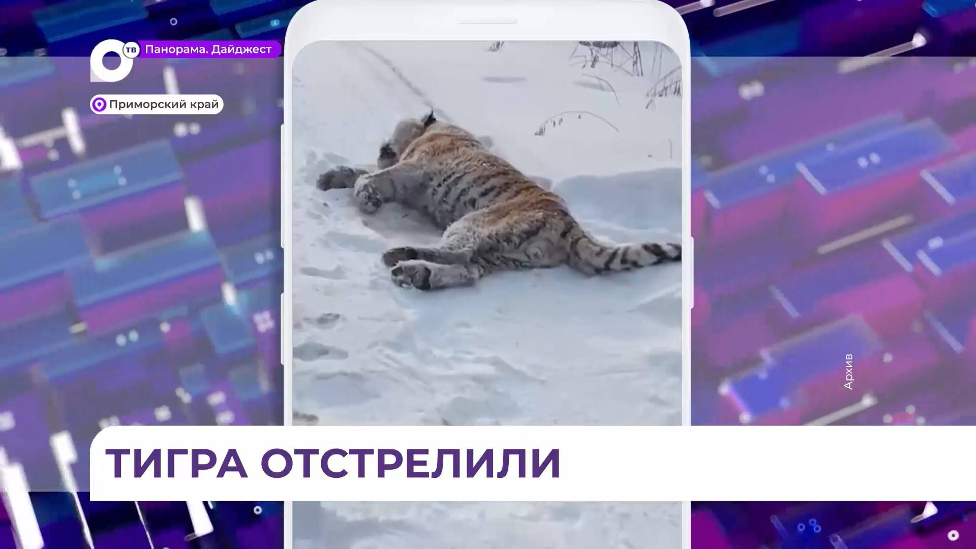 Инспектор нацпарка «Удэгейская легенда» застрелил тигра, защищая свою жизнь