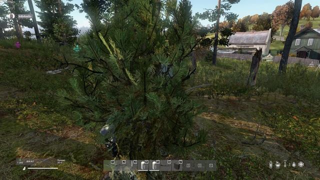 DayZ 2025.04.04 - 20.16.45.08.DVR