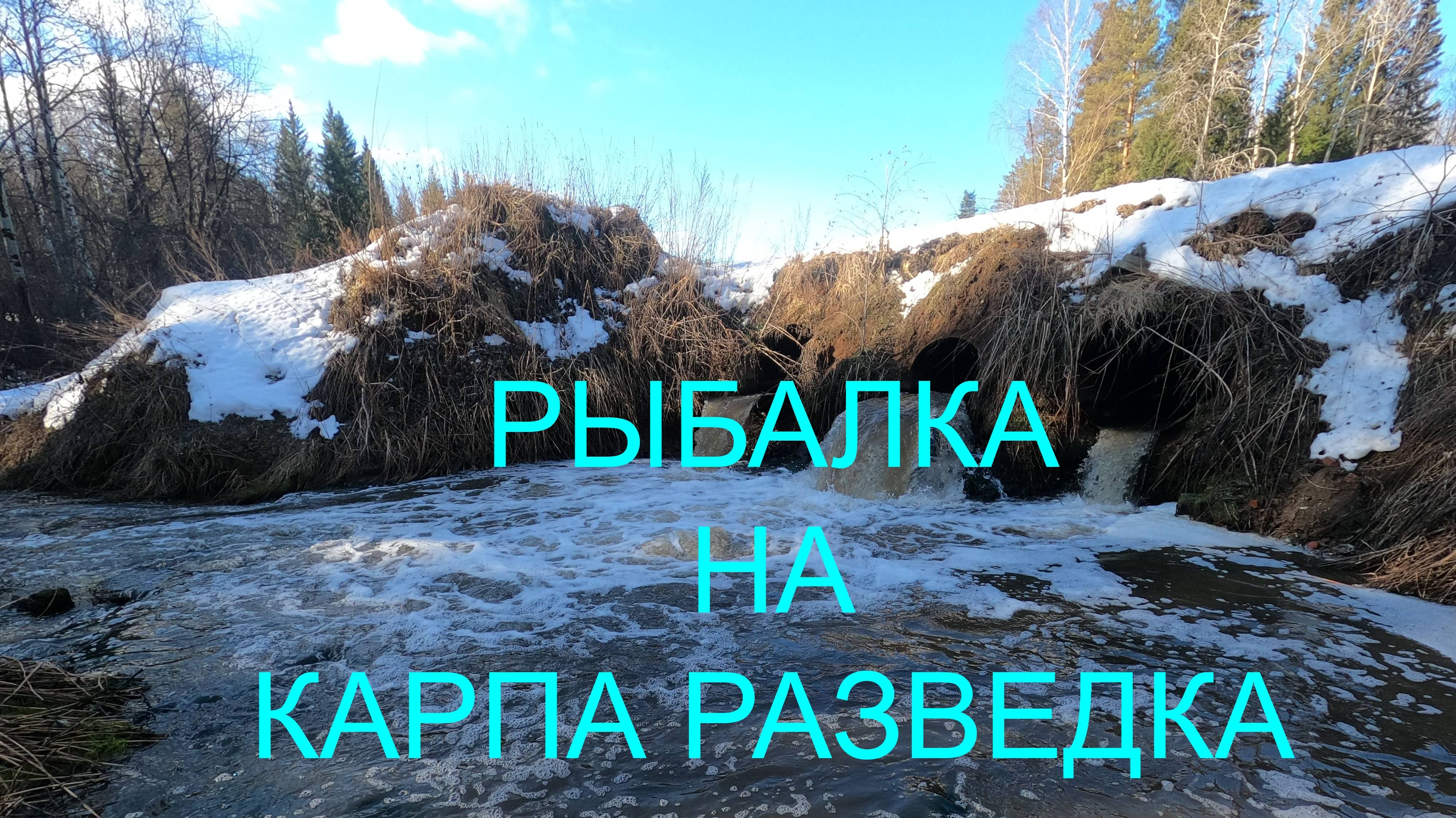 Рыбалка на КАРПА - 2025.  Неудачная разведка на новом месте БОЛТ .