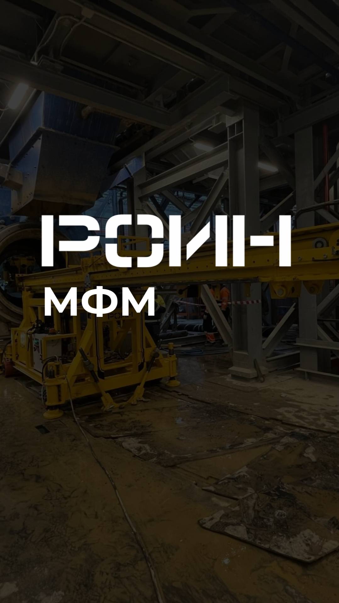 РОИН_МФМ