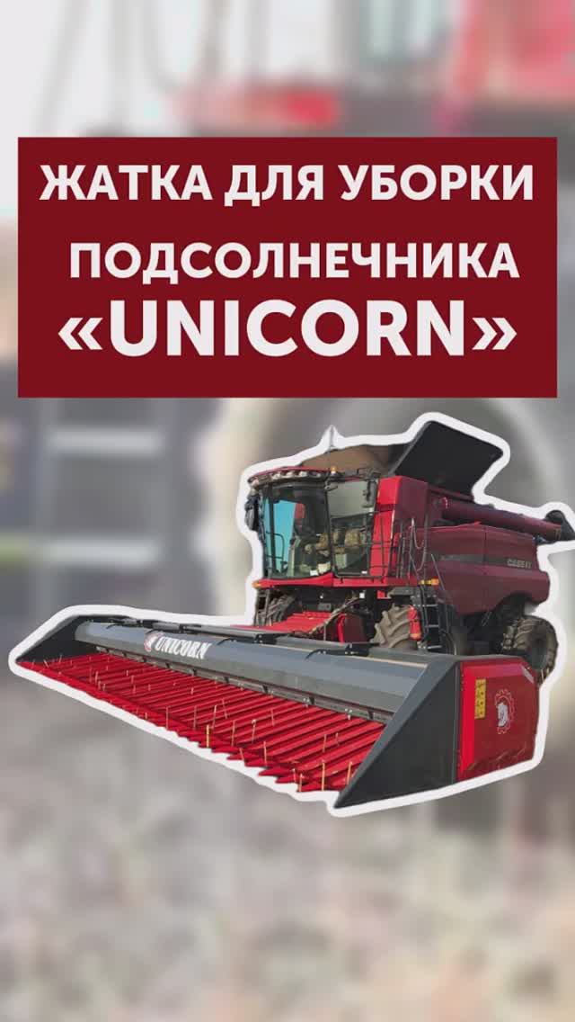Уборка подсолнечника с жаткой Unicorn #уборкаподсолнечника#агротехнологии#жатка