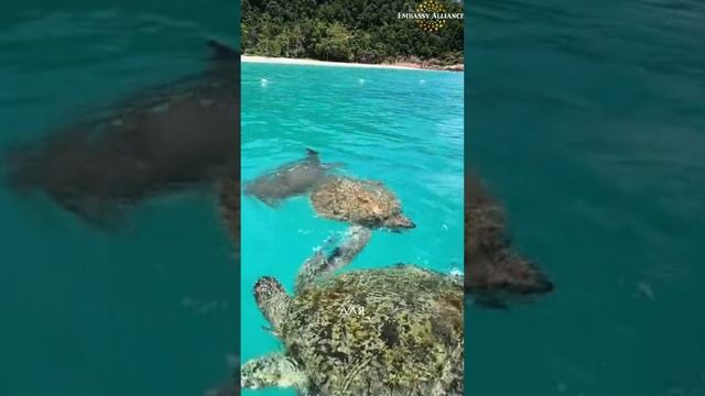 7 малайзийских островов, где под водой интереснее, чем в любом сериале! 🌊🐠