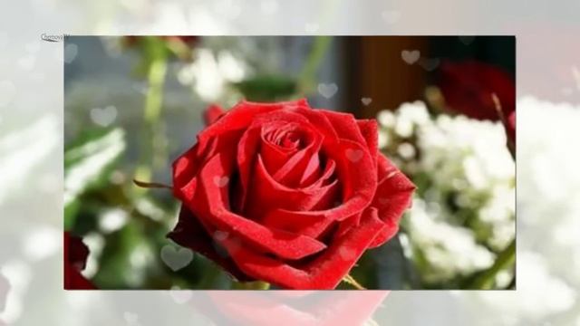 ✿Весенний вальс✿. Слайд-шоу за 5 минут!
