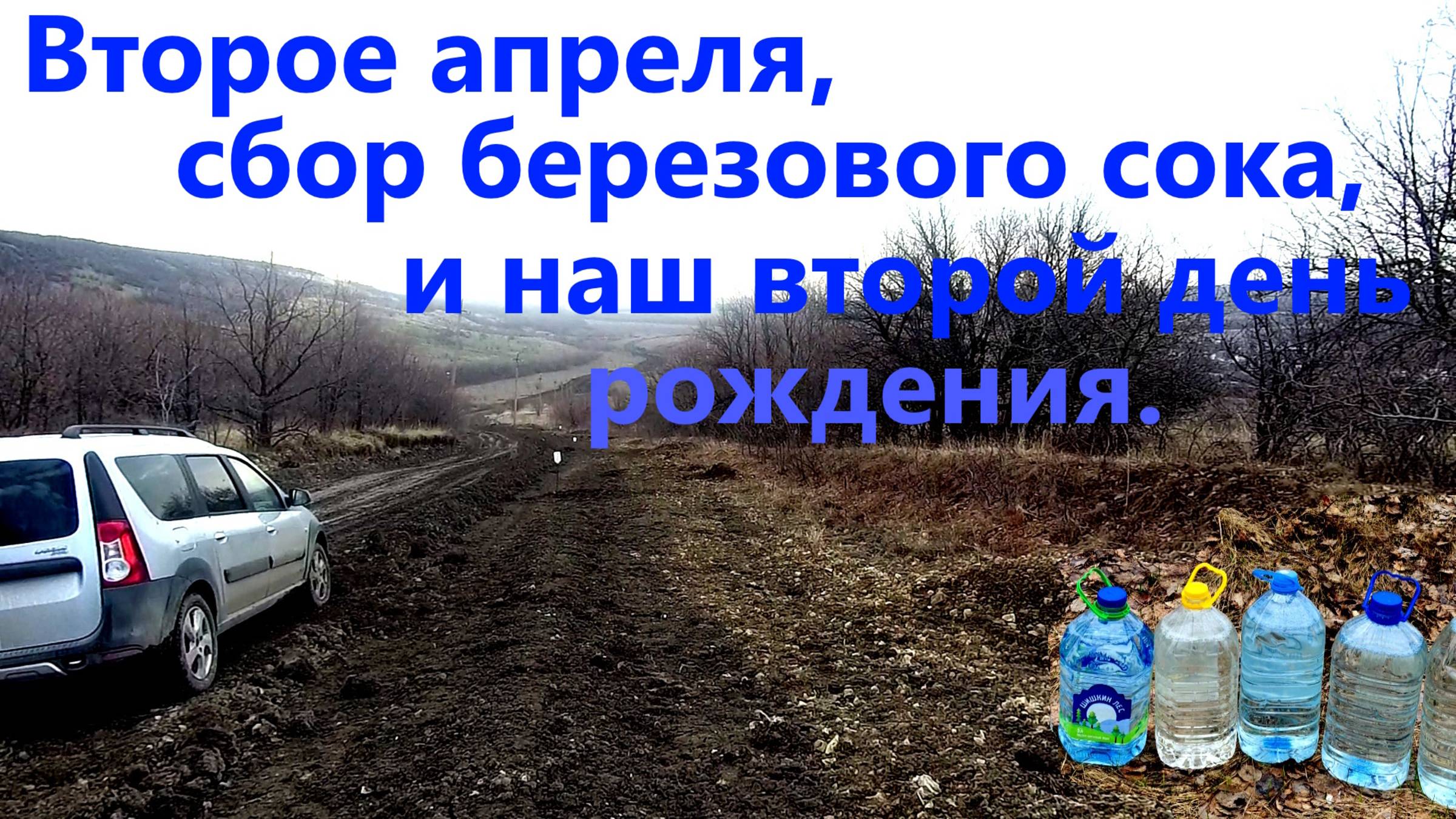 Второе апреля, выехали за березовым соком. Второе день рождения!