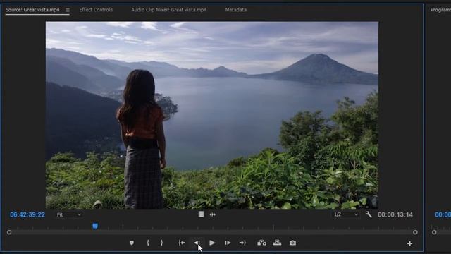 Adobe Premiere - Source and Program monitors
