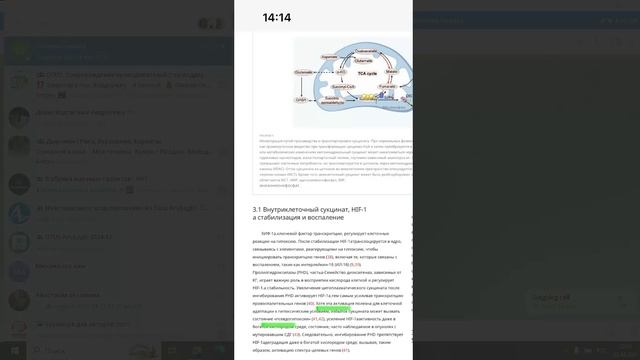 Встреча в Телемосте 03.04.25 21-50-02 — запись
