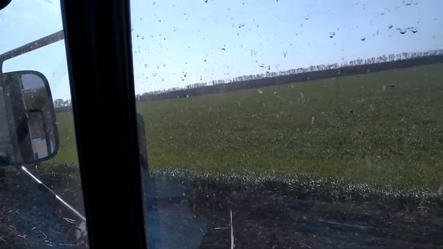 Другый день культивации МТЗ 80, МТЗ 82 , двома тракторами