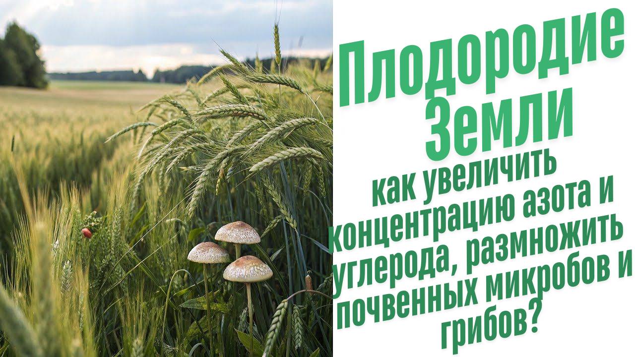 Питательные вещества в растениях и почве.
