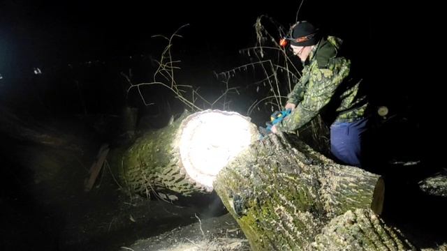 🔋Аккумуляторная цепная пила Sturm! CSC3616BL
