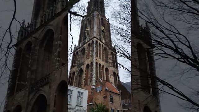 David Bowie Tribute Dom Utrecht