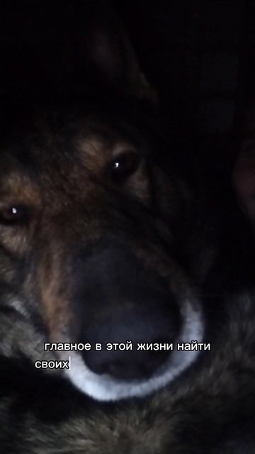 Ребята, держитесь друг друга