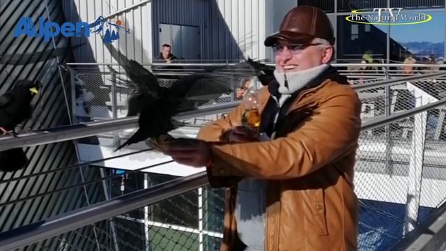 🎙Баварские Альпы❄️/Bayerische-alpen zugspitze 💞 /Цитаты Прича/🌿"The Natural World" (Мир Природы)