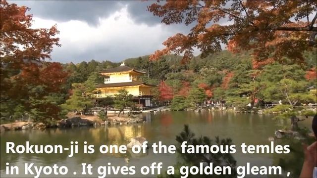 Autumn leaves in KYOTO　紅葉　大徳寺～金閣寺 2013