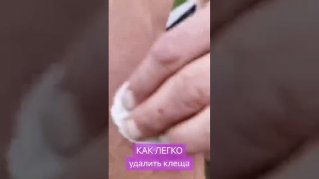 Берем на заметку