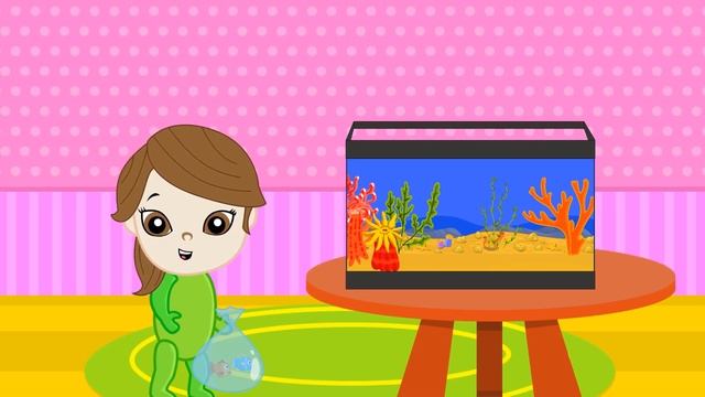 PRINCESS LOLA NEW PETS 👑 Cartoons For Kids