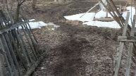 пчёлы на даче. 4 апреля 2025 года. Зимовка кончилась :)