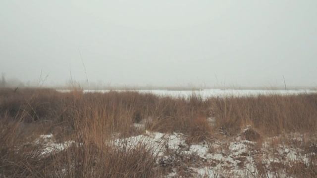 Замерзшее озеро в зимнем лесу