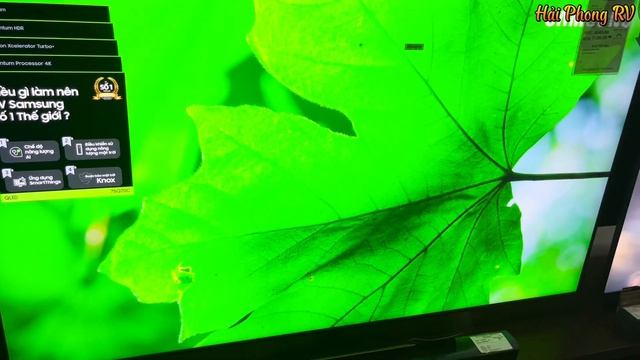 Mua 75 inch từ 14 Triệu của Sony | Samsung | TCL - TV 120Hz TO ĐẸP lại TIẾT KIỆM ĐIỆN