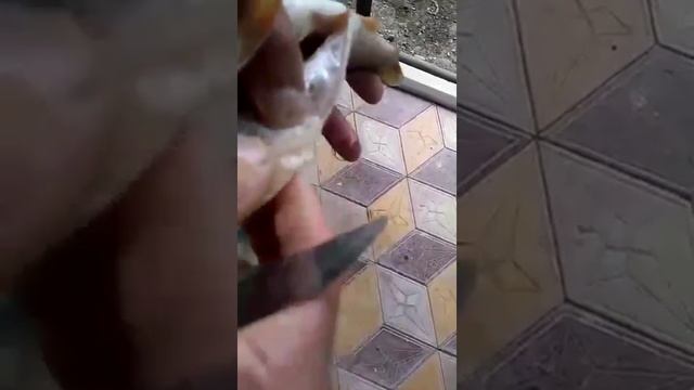 паразиты везде....