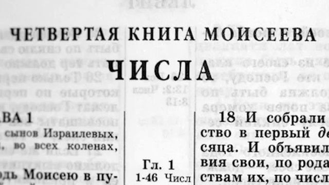 Библия Ветхий завет книга Числа