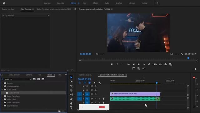How To End A Song With Echo/Reverb Effect - Premiere Pro Tutorial