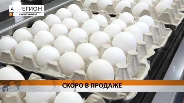 ЯЙЦО ОТ «ПИОНЕРСКОГО» ПОЯВИТСЯ В МАГАЗИНАХ КАМЧАТКИ В КОНЦЕ МАЯ • НОВОСТИ КАМЧАТКИ