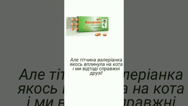 Буктрейлер  4 Б клас  ЗОШ 46  м  Херсон