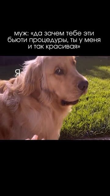 Глупость какую то сказал…