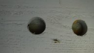 Restricted Roof Soffit Vents Lead to Roof Moisture Problems! All Islands Home Inspections