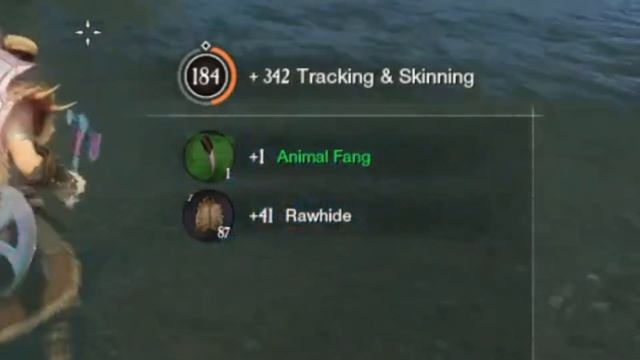 [ New World ] - лучшие споты для прокачки Tracking & Skining