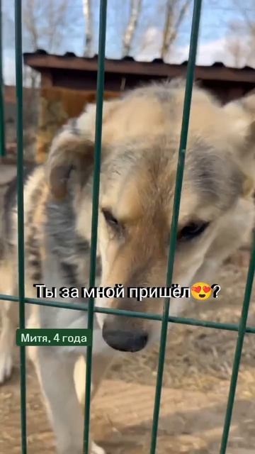 Митя ждёт вас в гости❤
