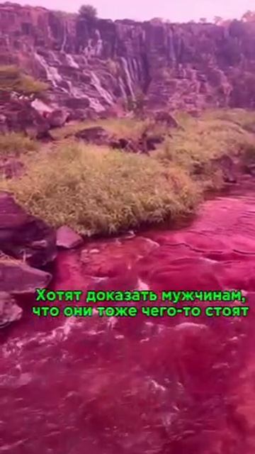 Самые агрессивные женщины по дате рождения. Подробнее в комментариях⤵️