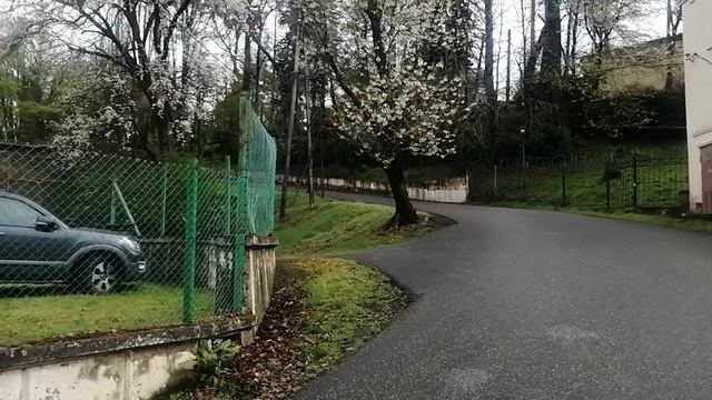 Еду в Якорную за покупками