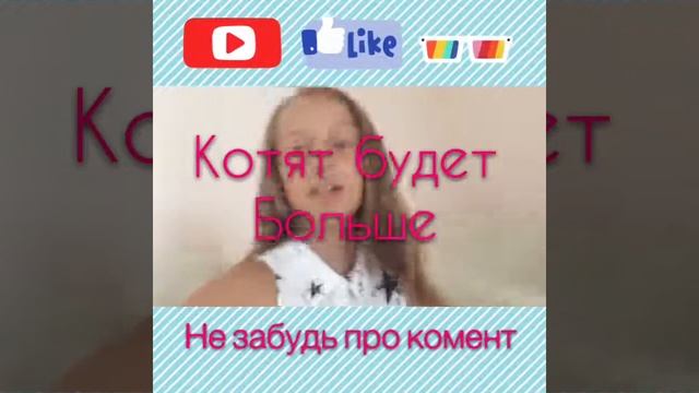 Видео новость мне нужно больше подписчиков?! Я в отпуске?