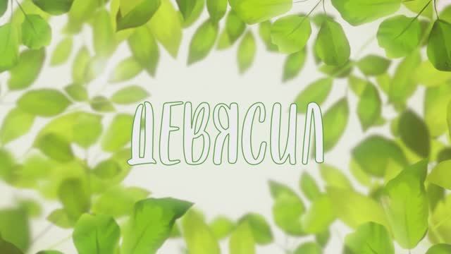 Ирина Камянчук - Девясил (сл. Н. Камянчук, муз. И. Камянчук)