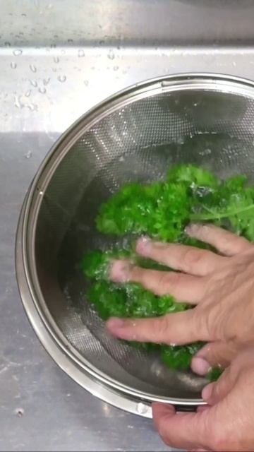Кучерявая петрушка