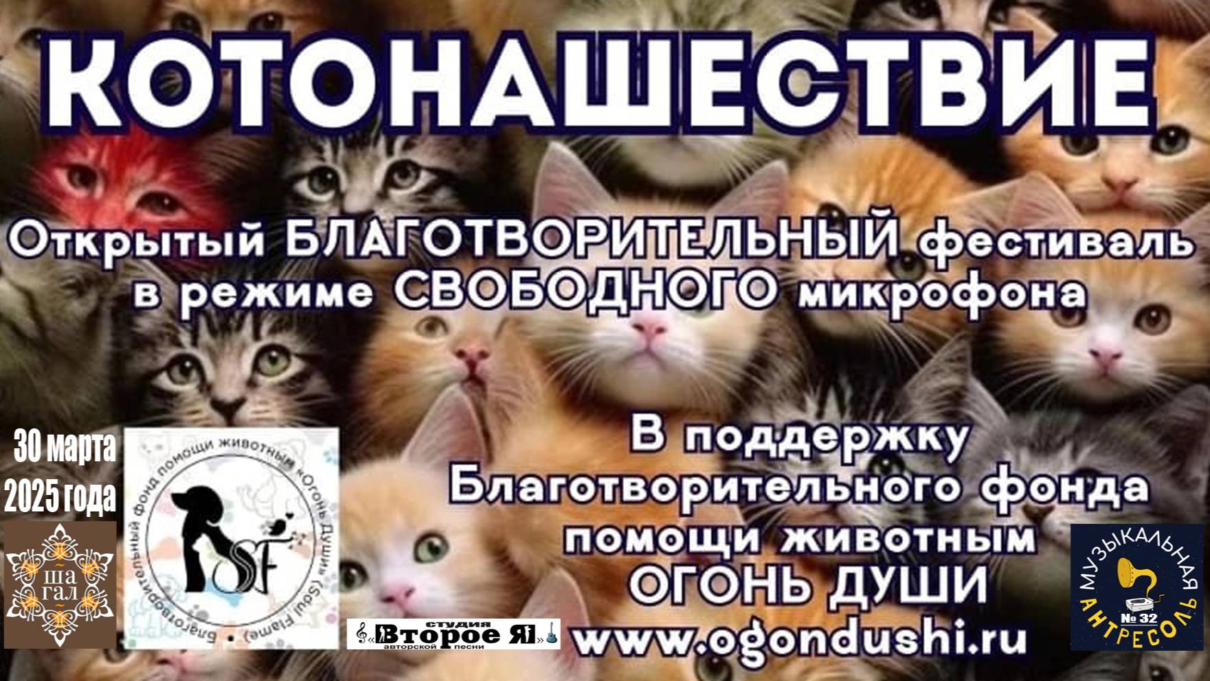 «Музыкальная Антресоль» № 32, или Фестиваль «КОТОНАШЕСТВИЕ»