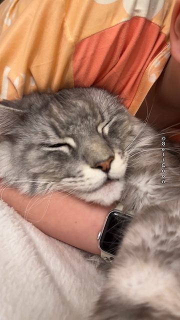 МурррКун❣️