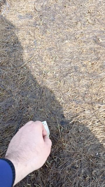 Нашел рубалек.