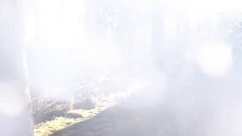 Adobe Premiere Pro Template: Twirling Bokeh Transition