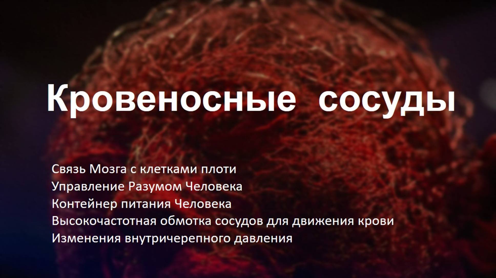 Кровеносные сосуды.