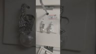 "Стиль в каждой гранке: Классические серьги – обзор . Заказ на ватсап +79083191849