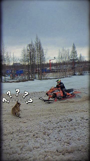 Опасненько ! #спорт #скорость #снегоход