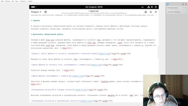 Лабораторная работа № 8 Отчёт